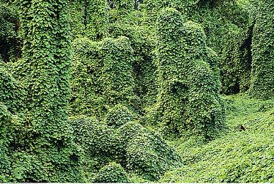 《热血硬派国夫君外传 热血少女2》新预告 游戏魅力大